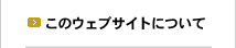 このウェブサイトについて